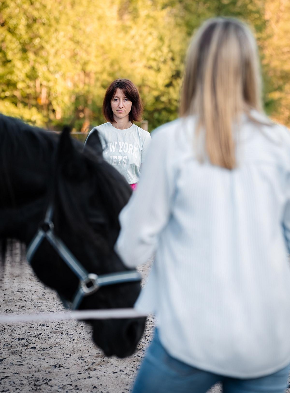Olga Fichter pferdegestütztes Coaching
